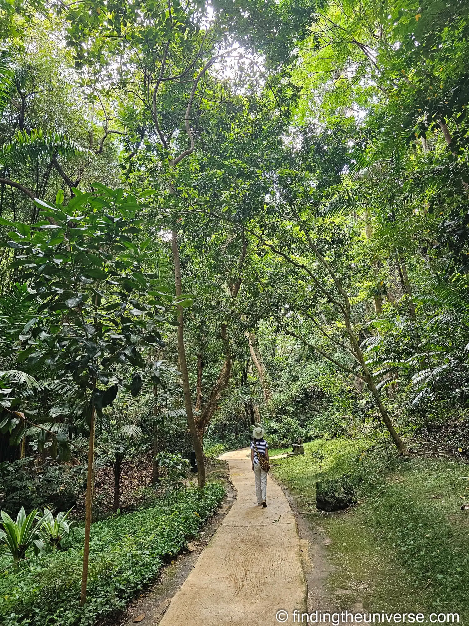 Welchman Hall Gully Barbados by Laurence Norah