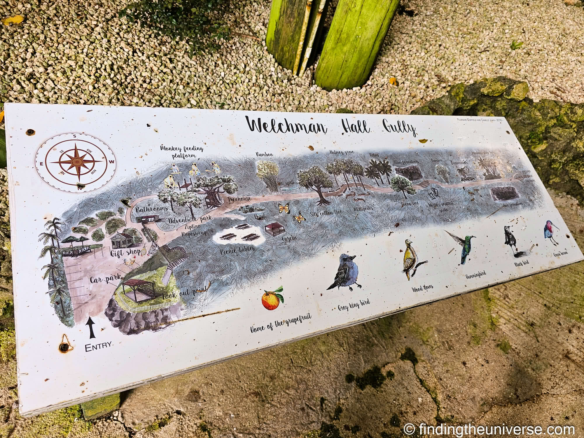 Welchman Hall Gully Barbados by Laurence Norah