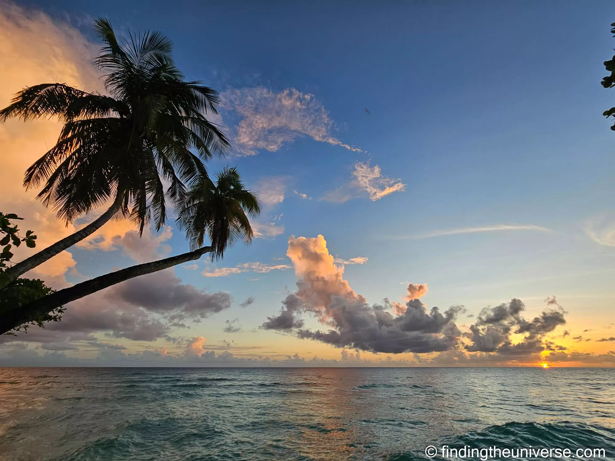 Dover beach sunset Barbados by Laurence Norah