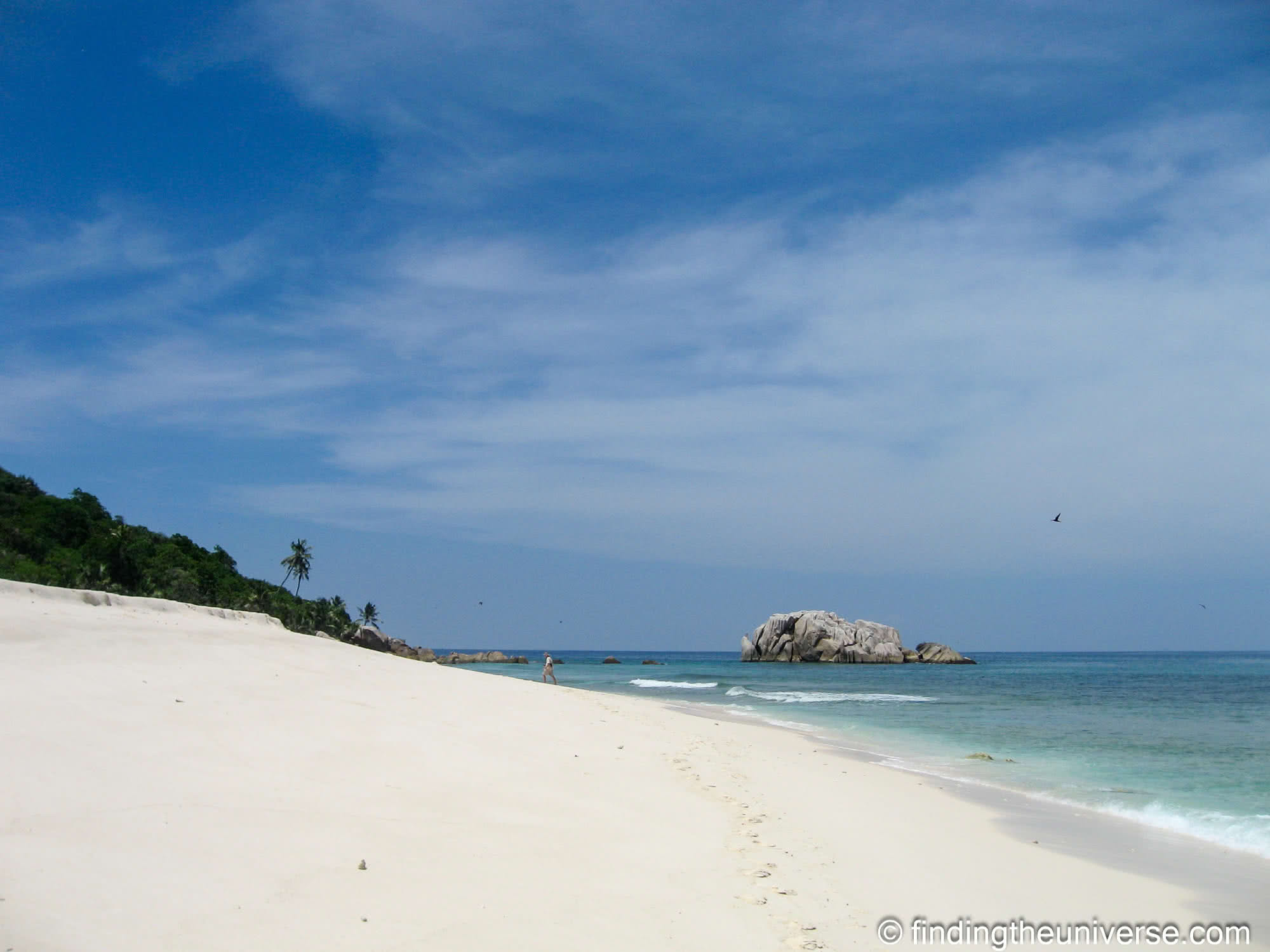 Cousine Island Seychelles by Laurence Norah-3