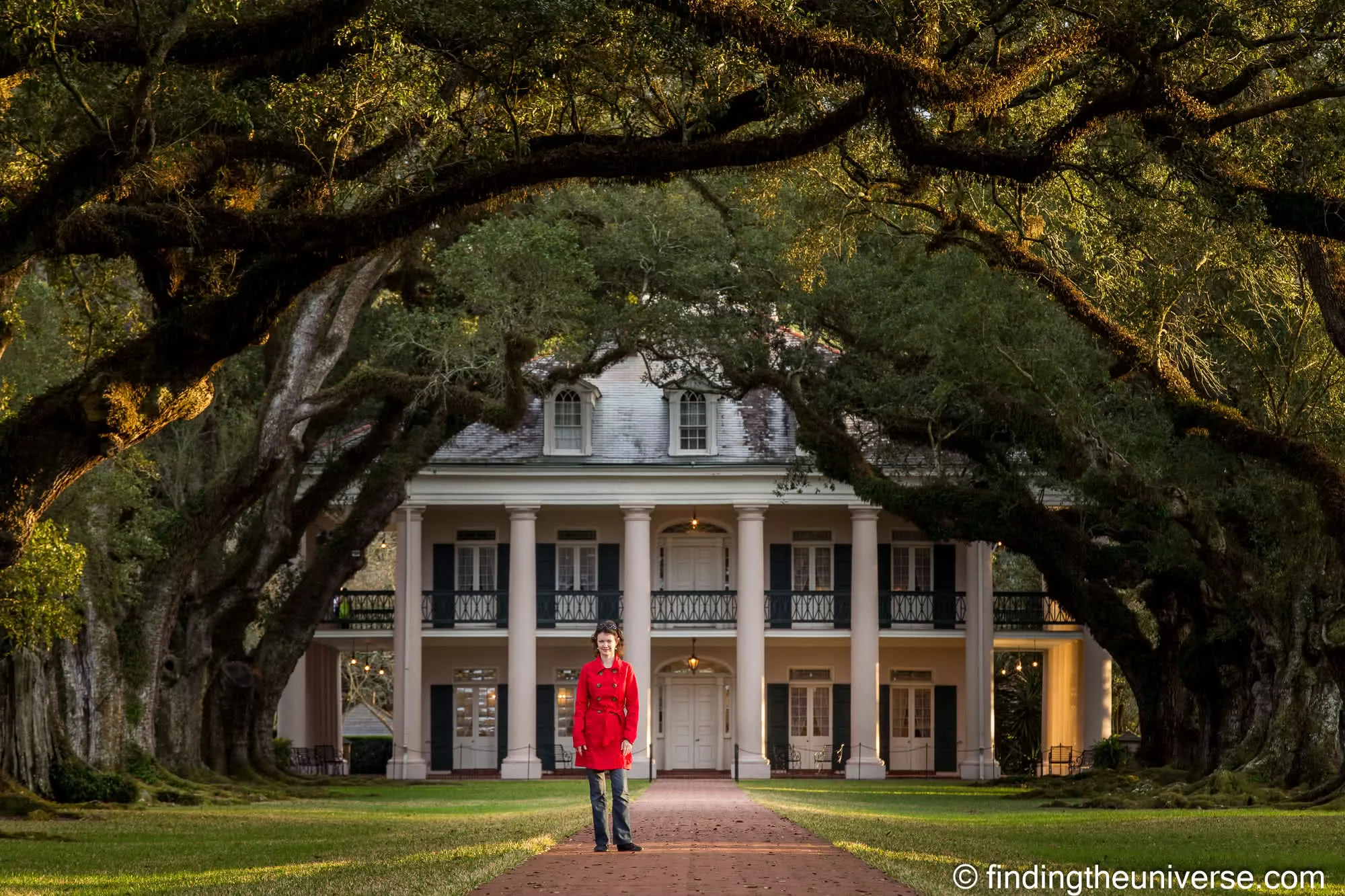 Oak Alley Plantation Louisiana by Laurence Norah