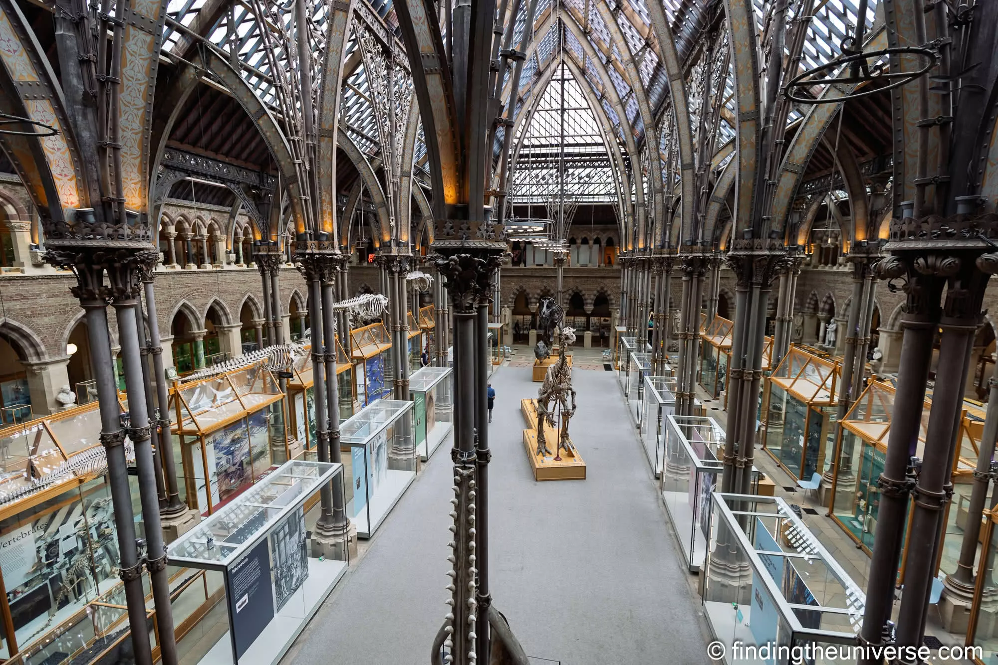 Museum of Natural History by Laurence Norah