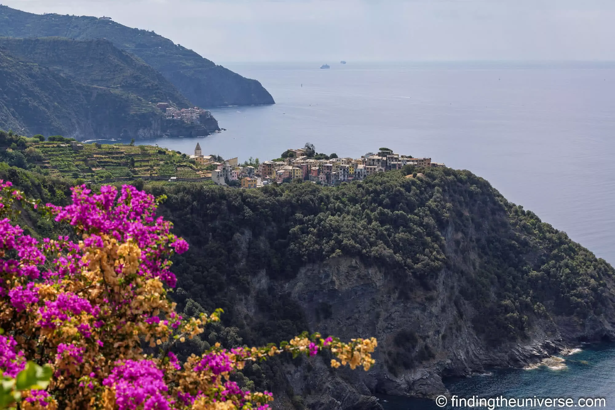 Corniglia on its clifftop framed by bougainvillea, Cinque Terre