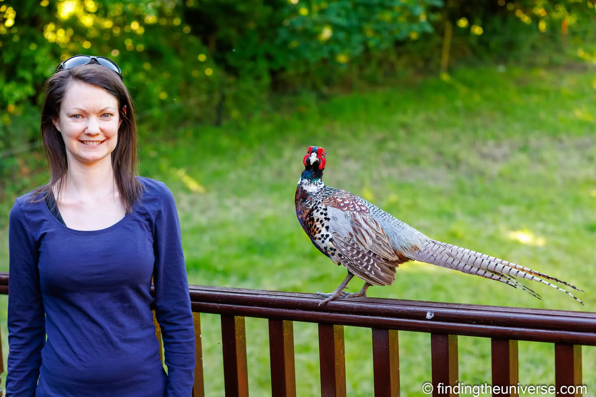 Jessica with pheasant by Laurence Norah