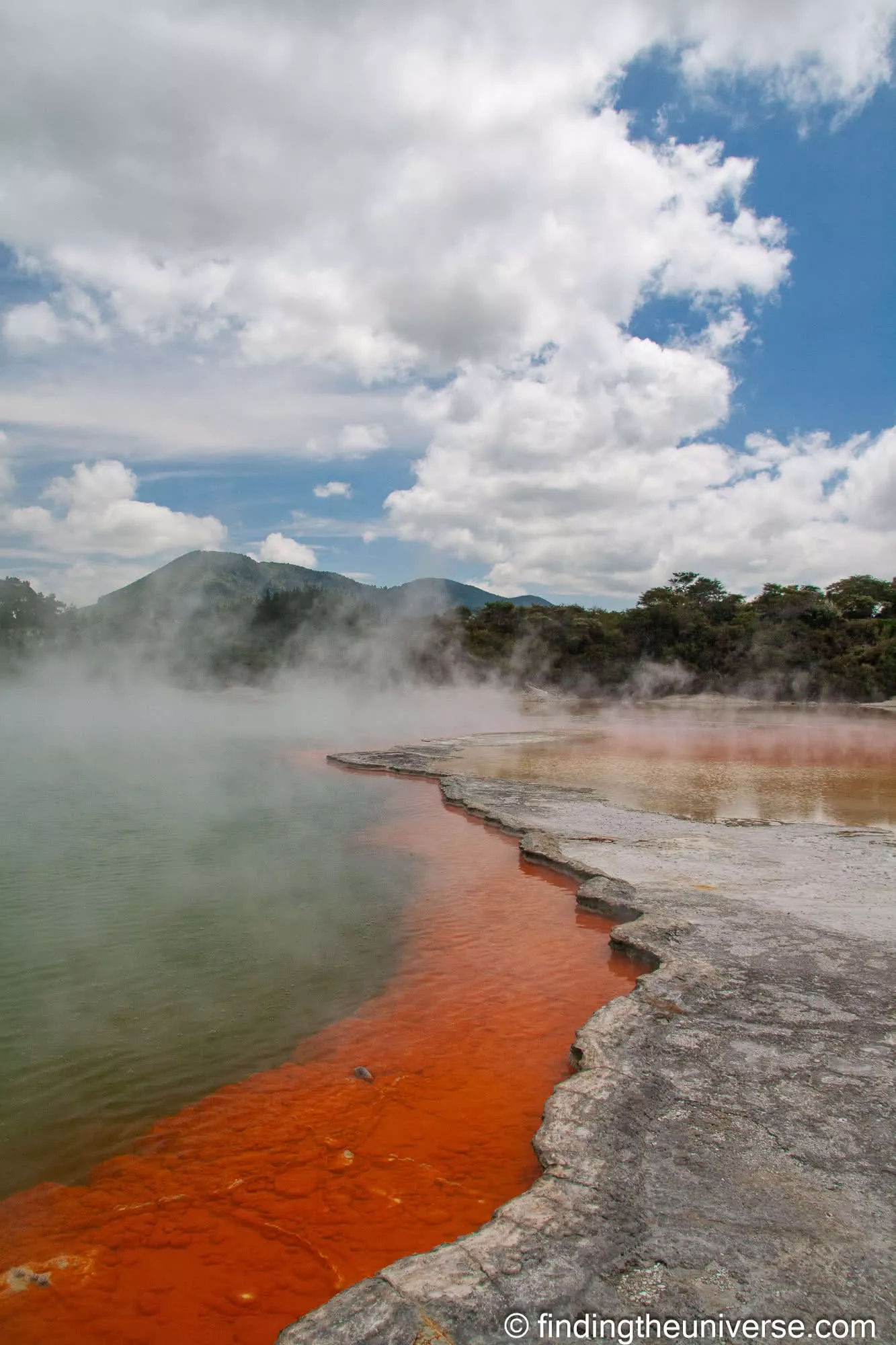 Rotorua by Laurence Norah