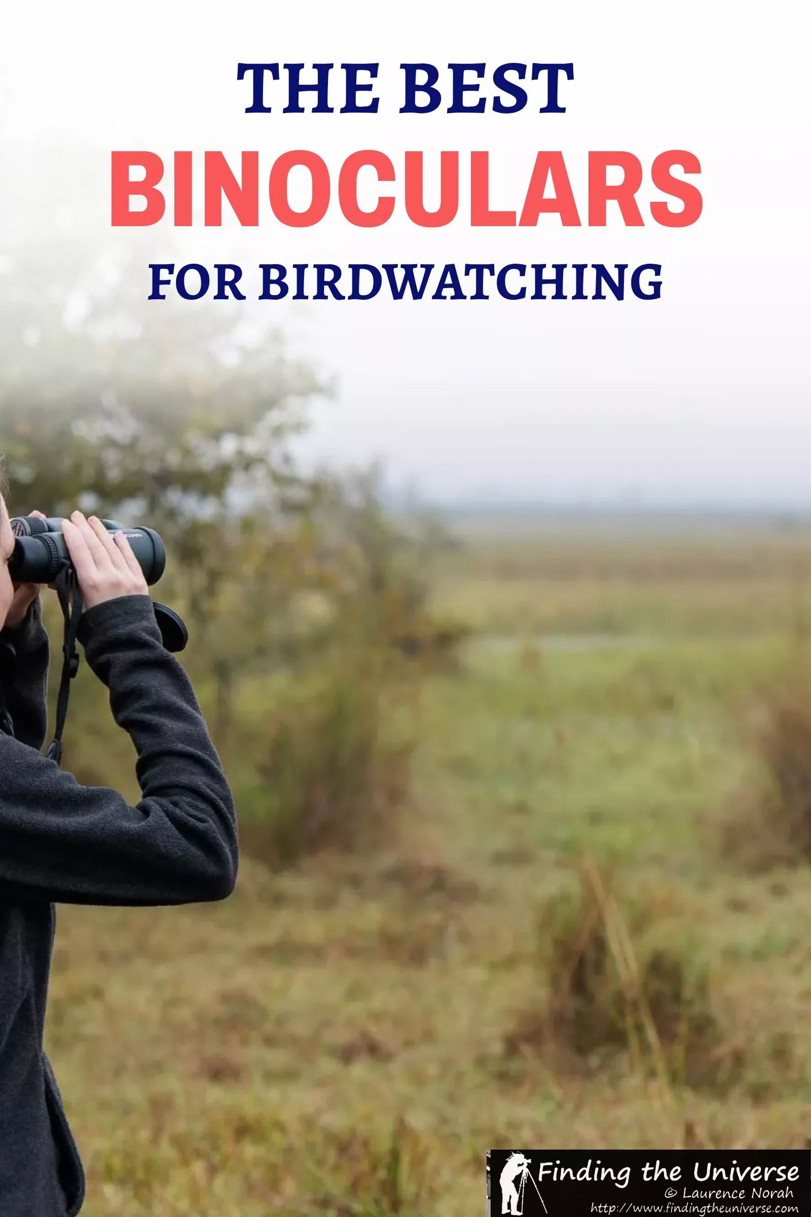 I use binoculars most mornings and grew up among Seychelles seabirds. My eight picks for birdwatching at every budget, plus the specs that matter for birds.