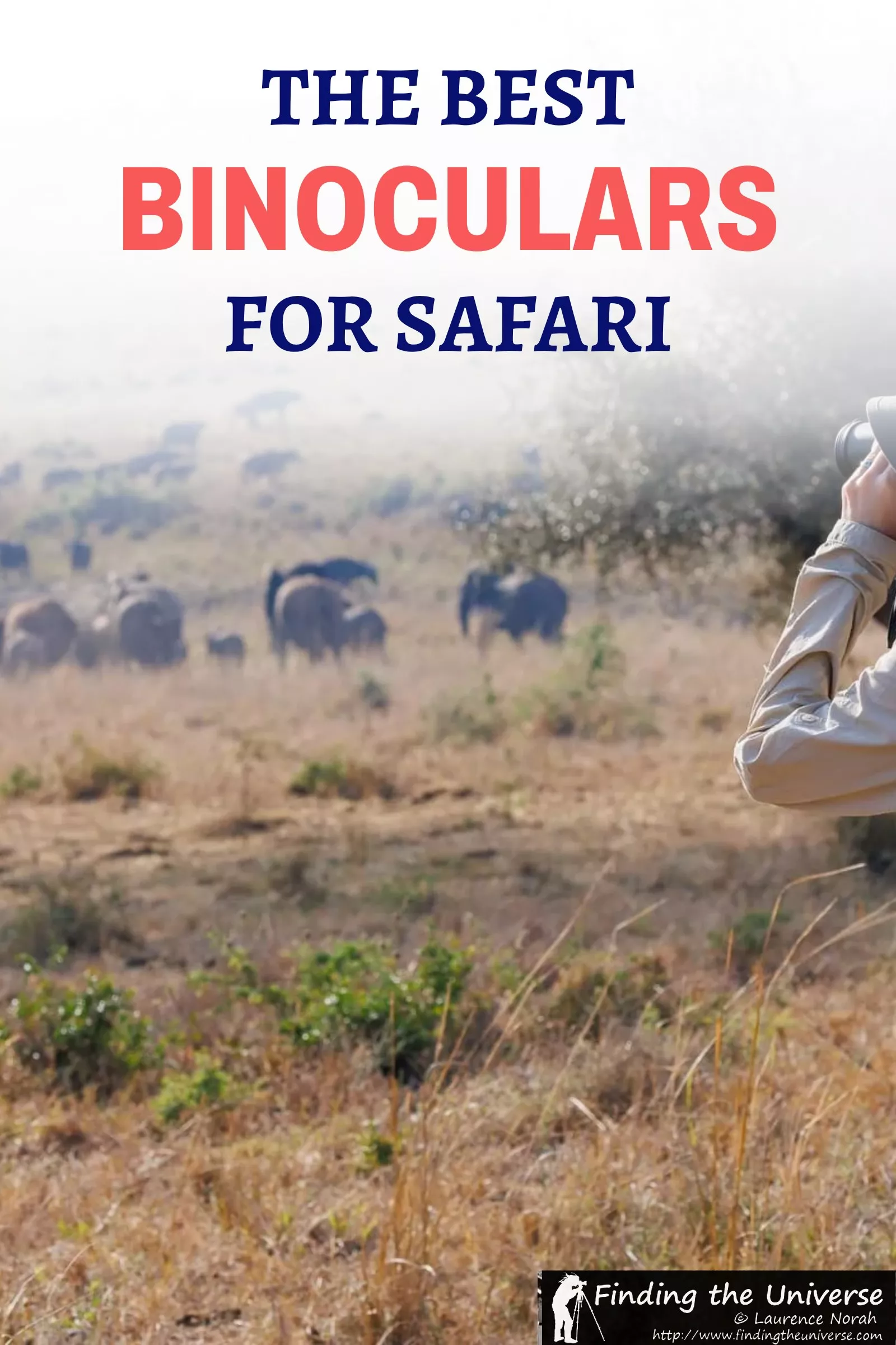 We own and use two pairs of binoculars across safaris and daily birdwatching. Here are the best binoculars for safari by budget, plus 8x vs 10x explained.