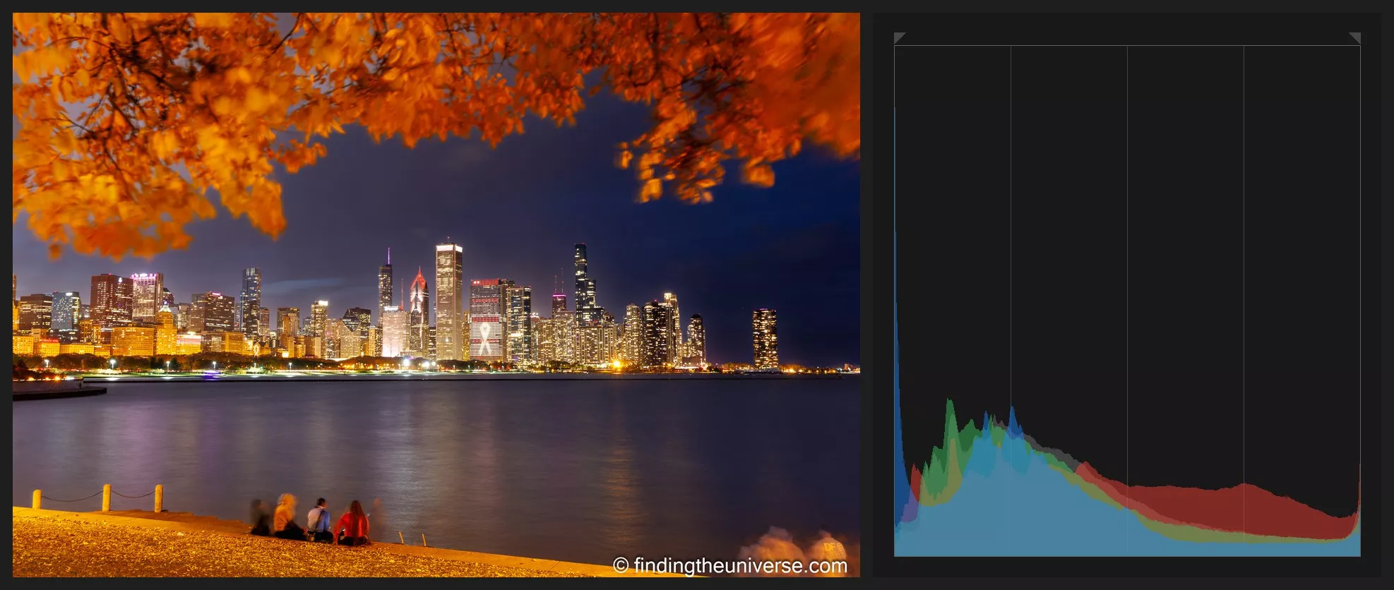 Chicago skyline at blue hour framed by autumn leaves, next to a histogram sitting left with city lights trailing right