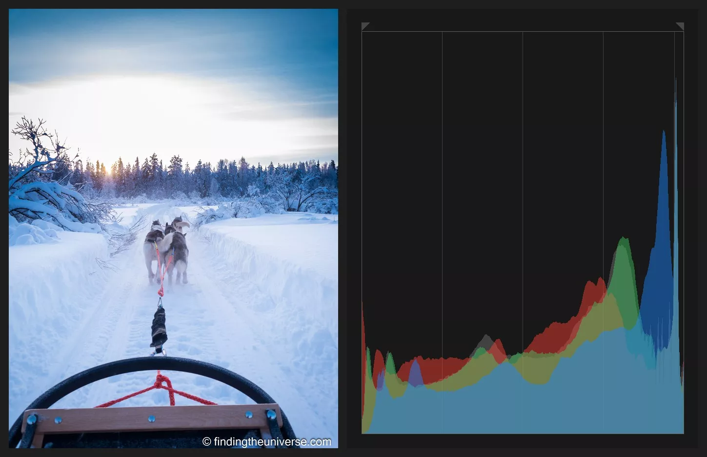 Huskies pulling a sled through bright snow, next to a histogram pushed to the right