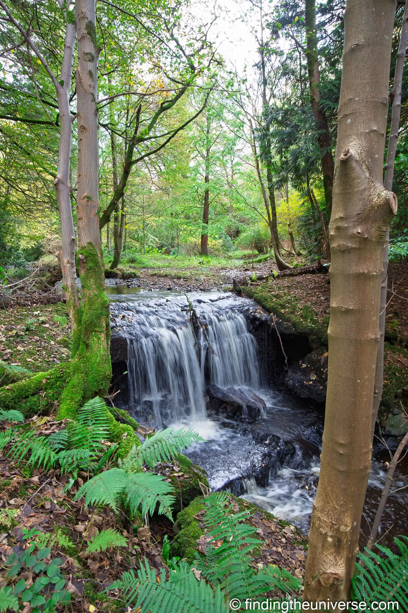 A waterfall in the Glenapp Castle grounds