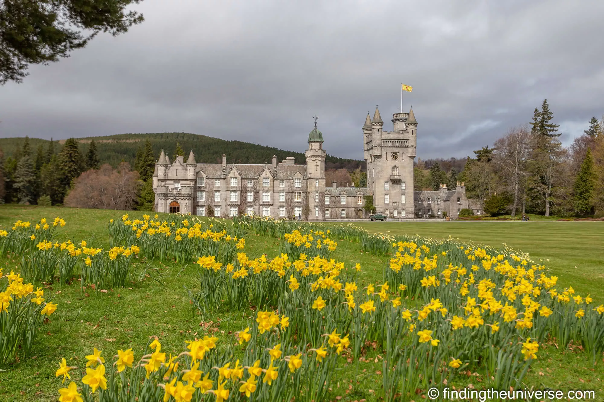 Balmoral Castle and spring daffodils