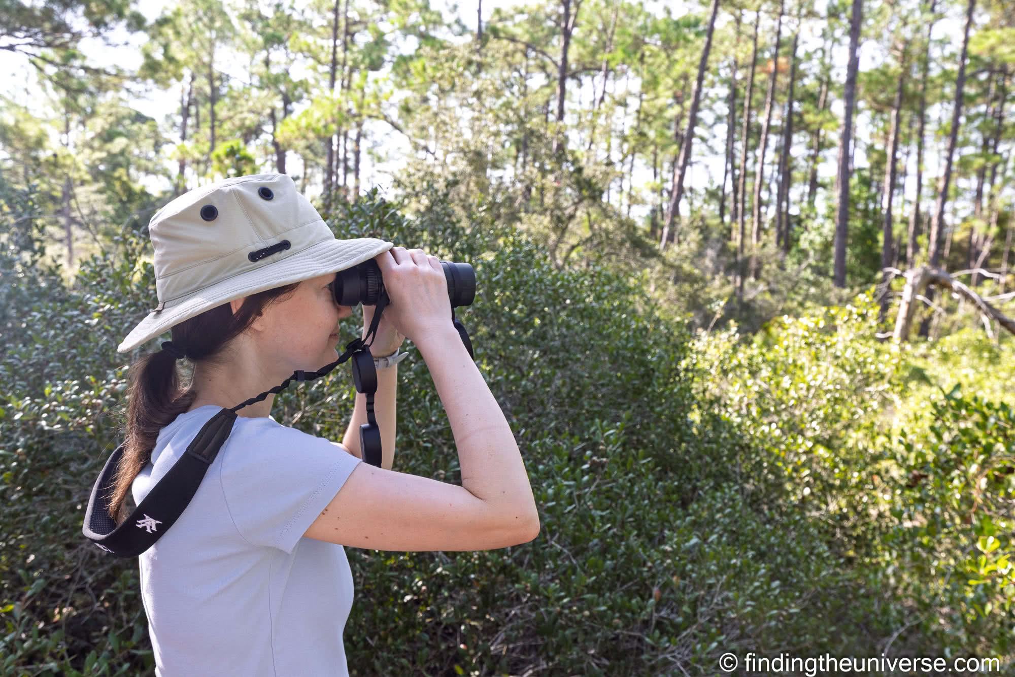 Birdwatching in the pine forest at Bon Secour National Wildlife Refuge