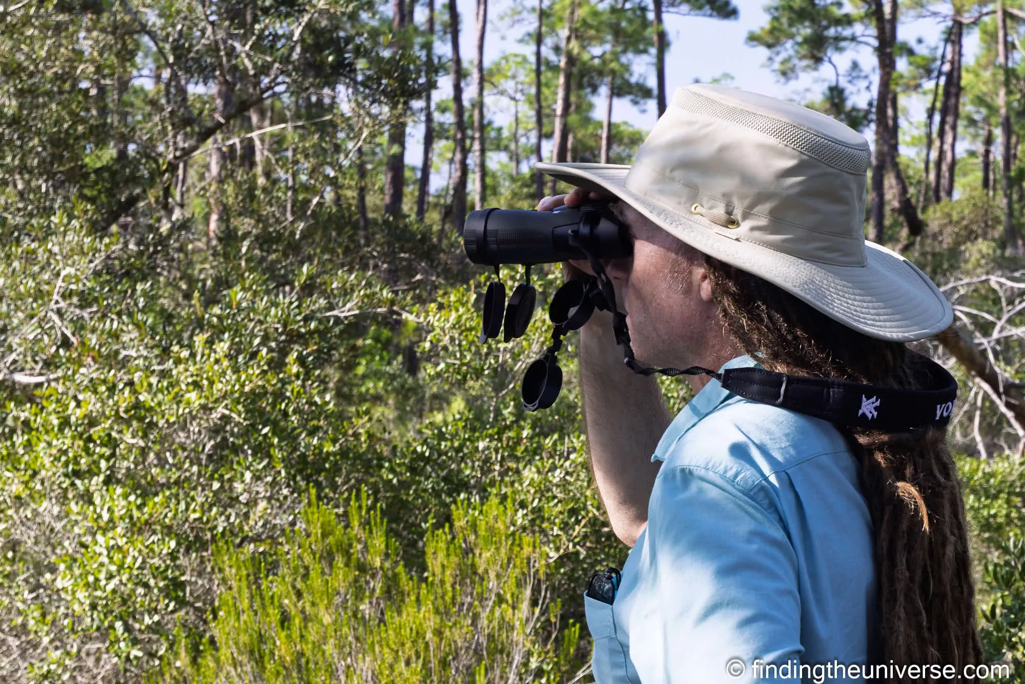 Birdwatching with Vortex Diamondback binoculars in the pine forest at Bon Secour