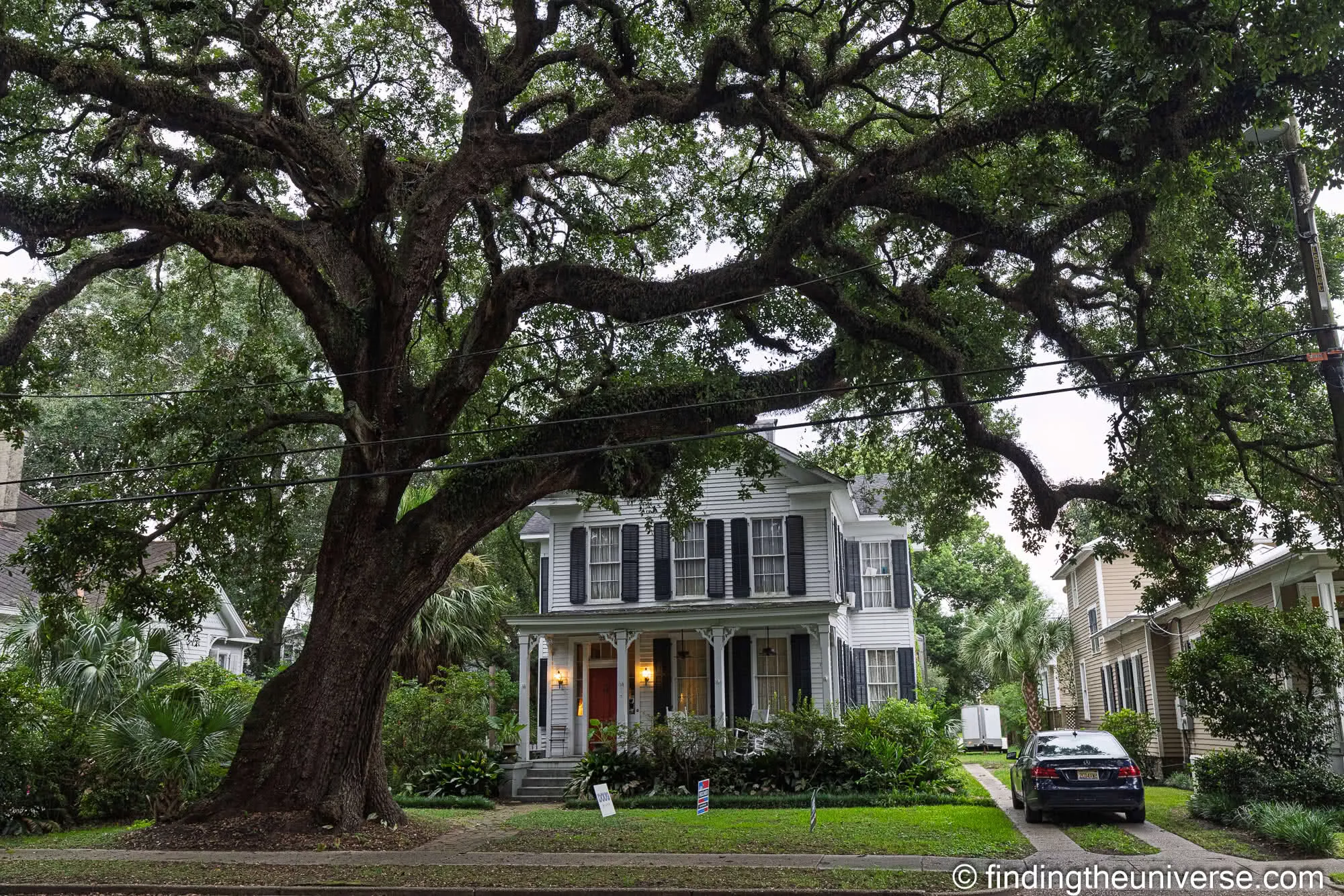 Clapboard cottage under a live oak in the Oakleigh Garden Historic District