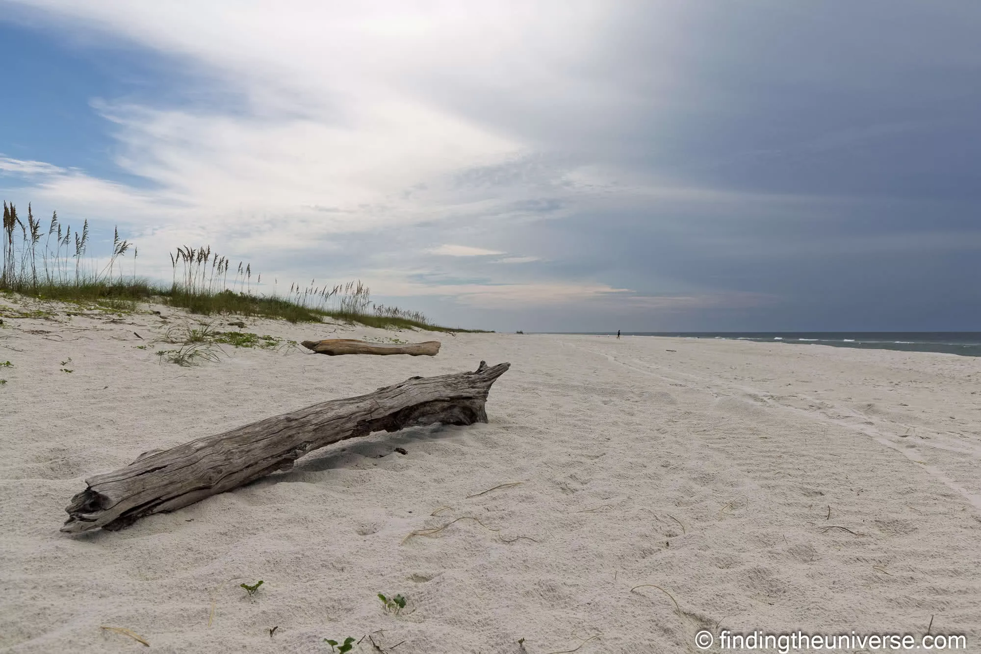 Driftwood on the empty beach at the end of the Bon Secour trail