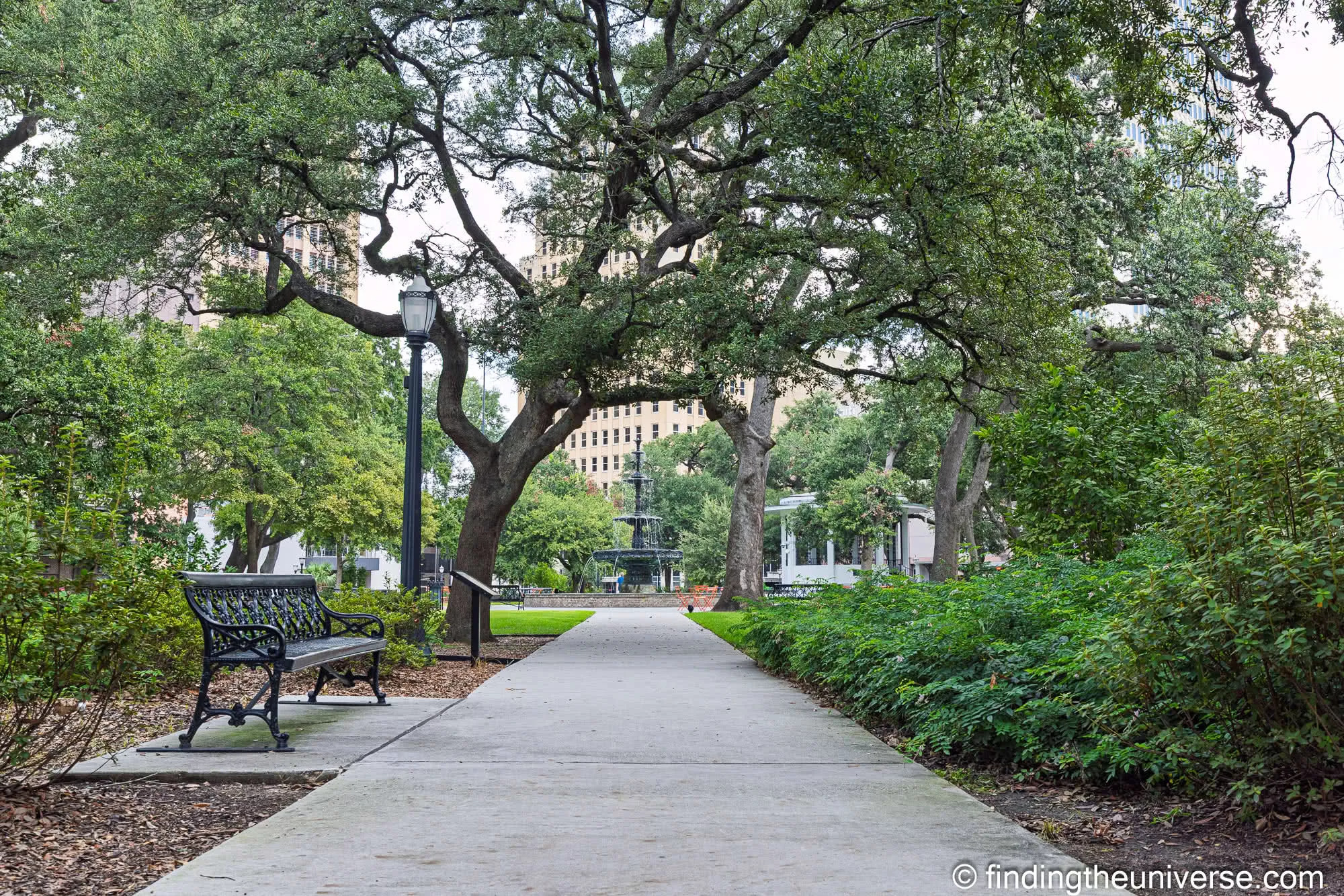 Live oaks and benches in Bienville Square
