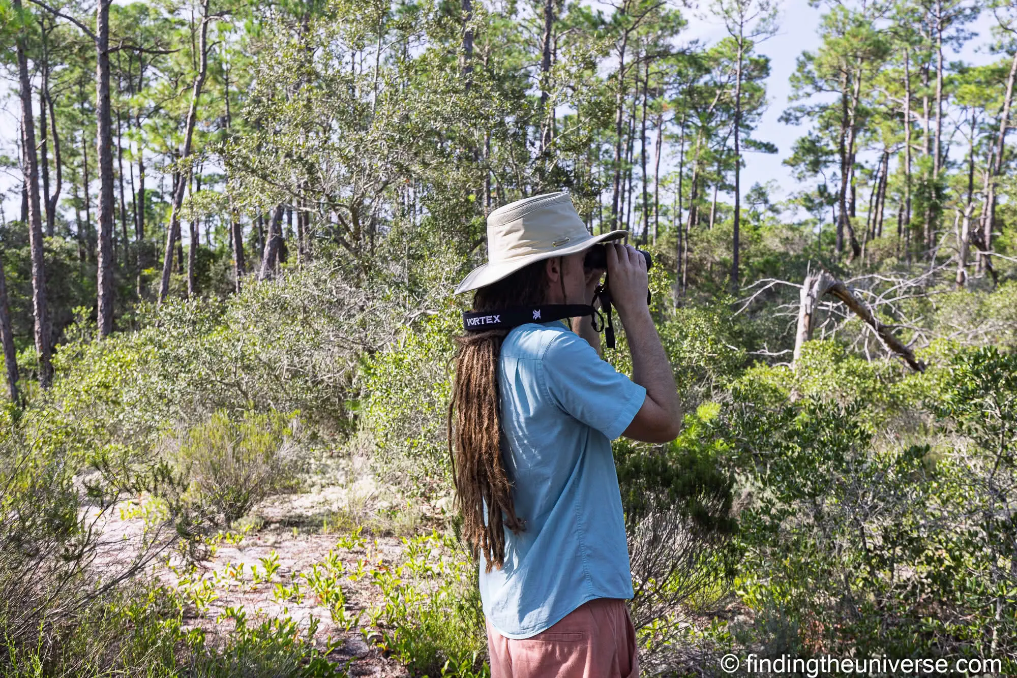 Scanning the treeline with binoculars at Bon Secour