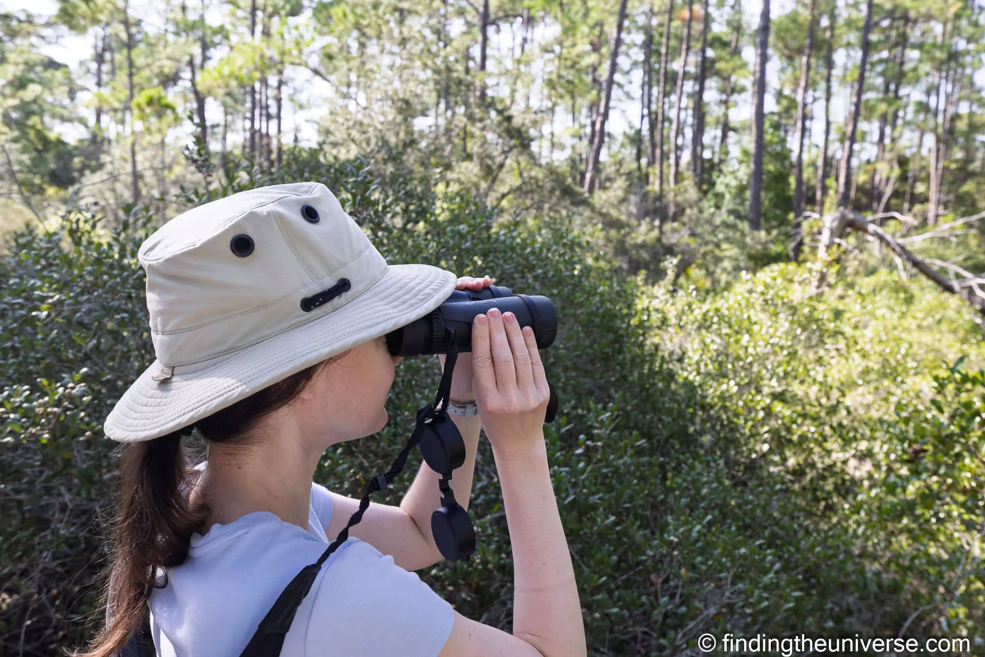Vortex Diamondback binoculars in use at Bon Secour National Wildlife Refuge