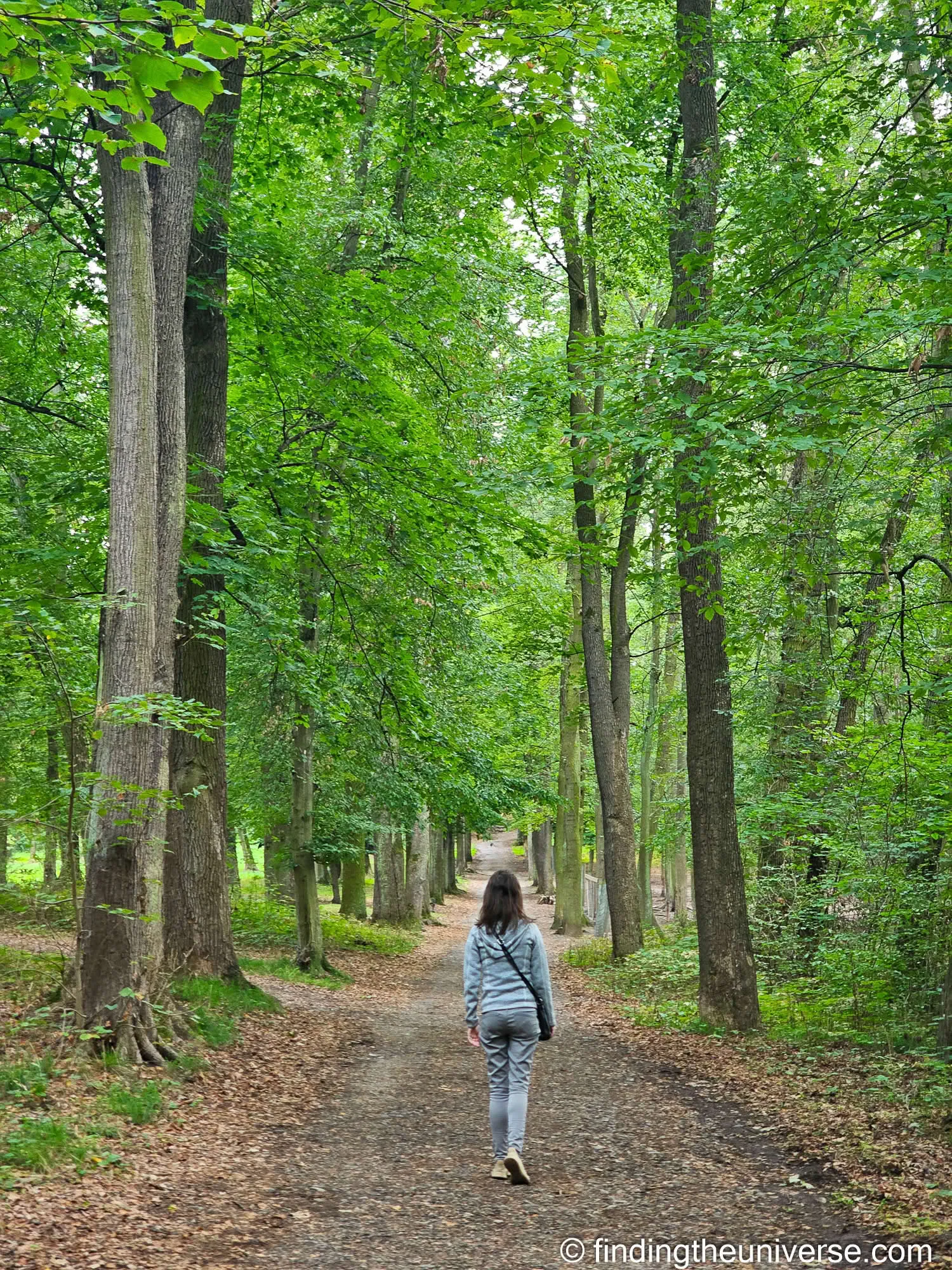 Jessica walking a tree-lined avenue in the Konopiště park