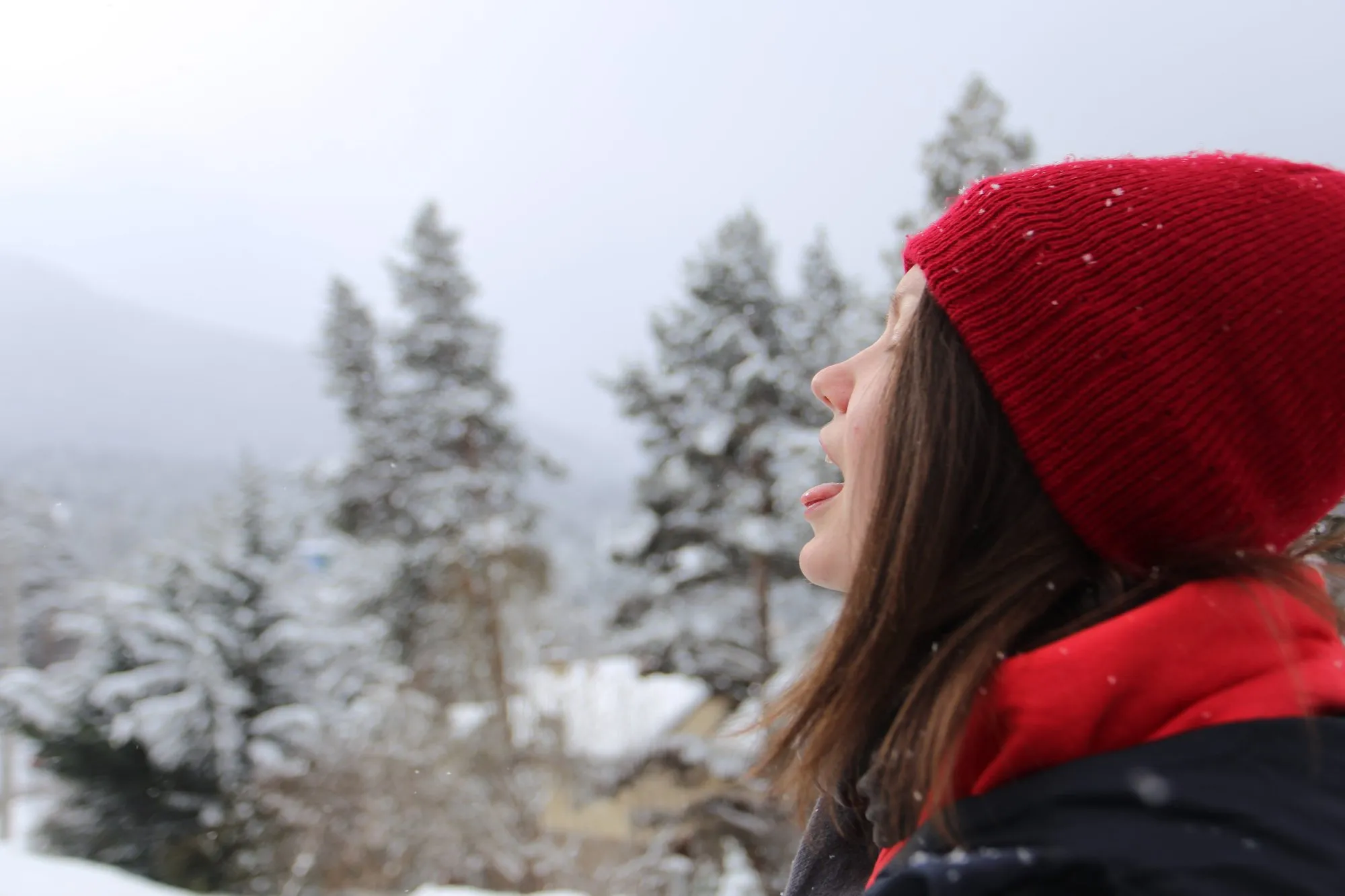 Snow falling in the Spanish Pyrenees