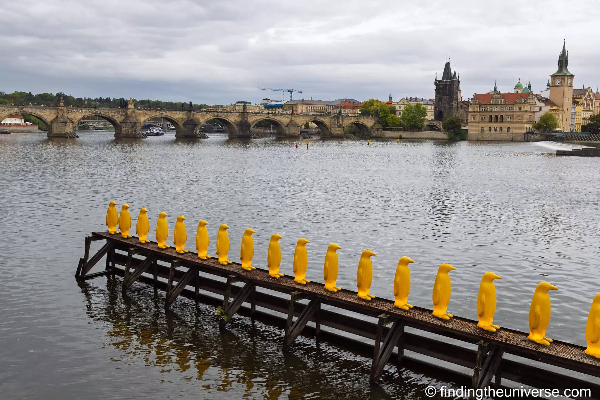 Yellow penguins on the Vltava at Kampa, Prague